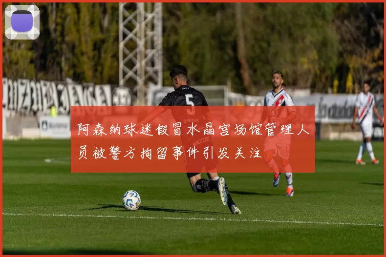 阿森纳球迷假冒水晶宫场馆管理人员被警方拘留事件引发关注