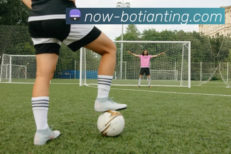 博天堂平台生态图